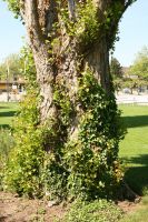 IMG_9280